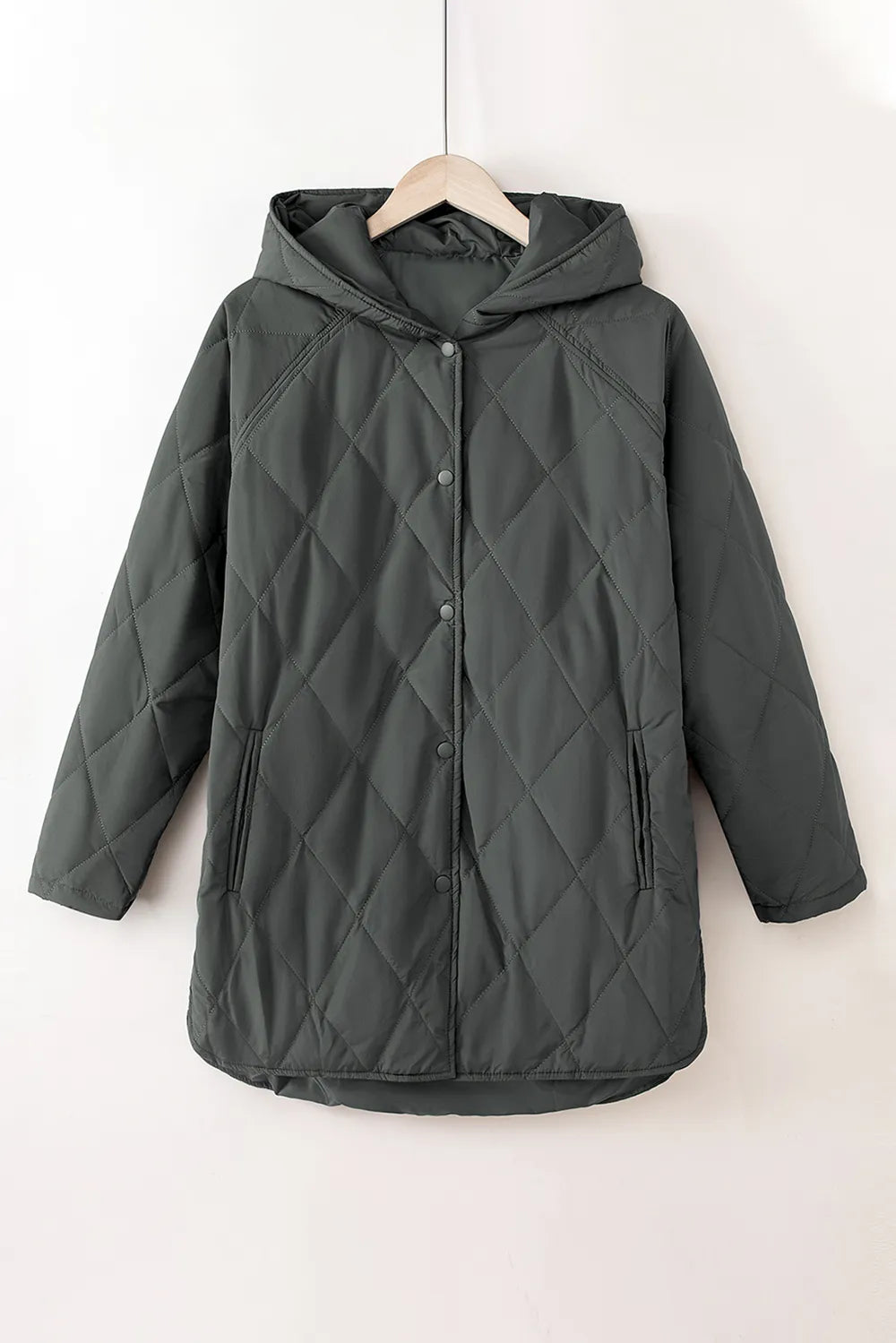 Snap Down Long Sleeve Quilted Winter Coat - Lilixa.store