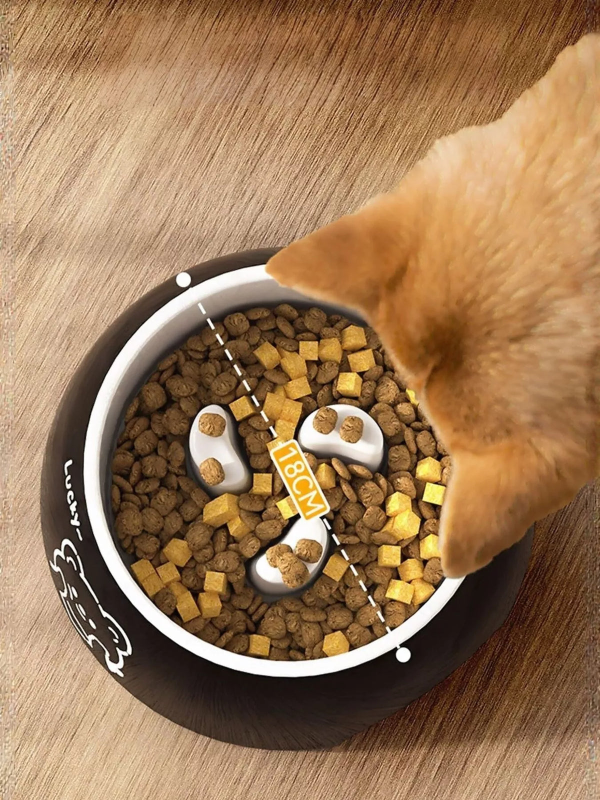 Cute Cartoon Pattern Pet Bowl - Lilixa.store