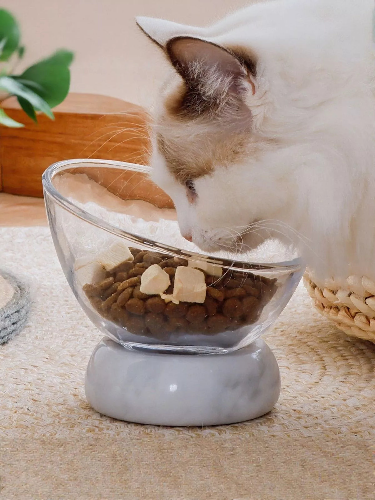Elevated Tilted Non-Slip Clear Pet Bowl - Lilixa.store
