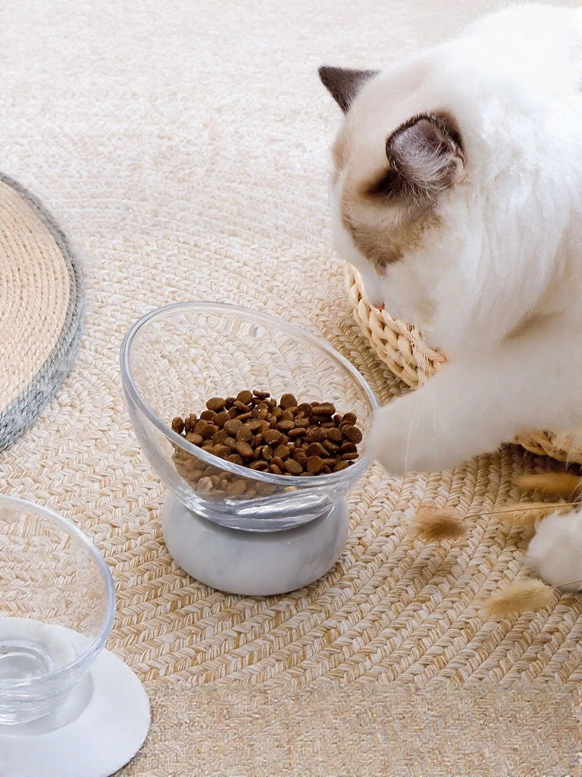 Elevated Tilted Non-Slip Clear Pet Bowl - Lilixa.store