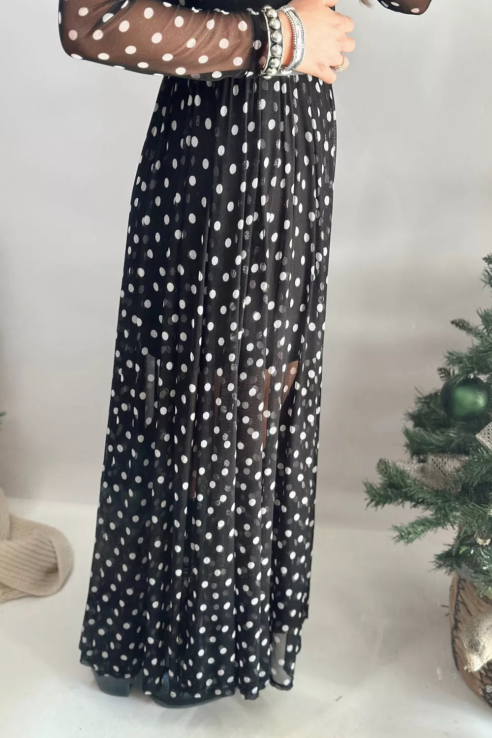Polka Dot Sheer Mesh Long Sleeve Maxi Dress