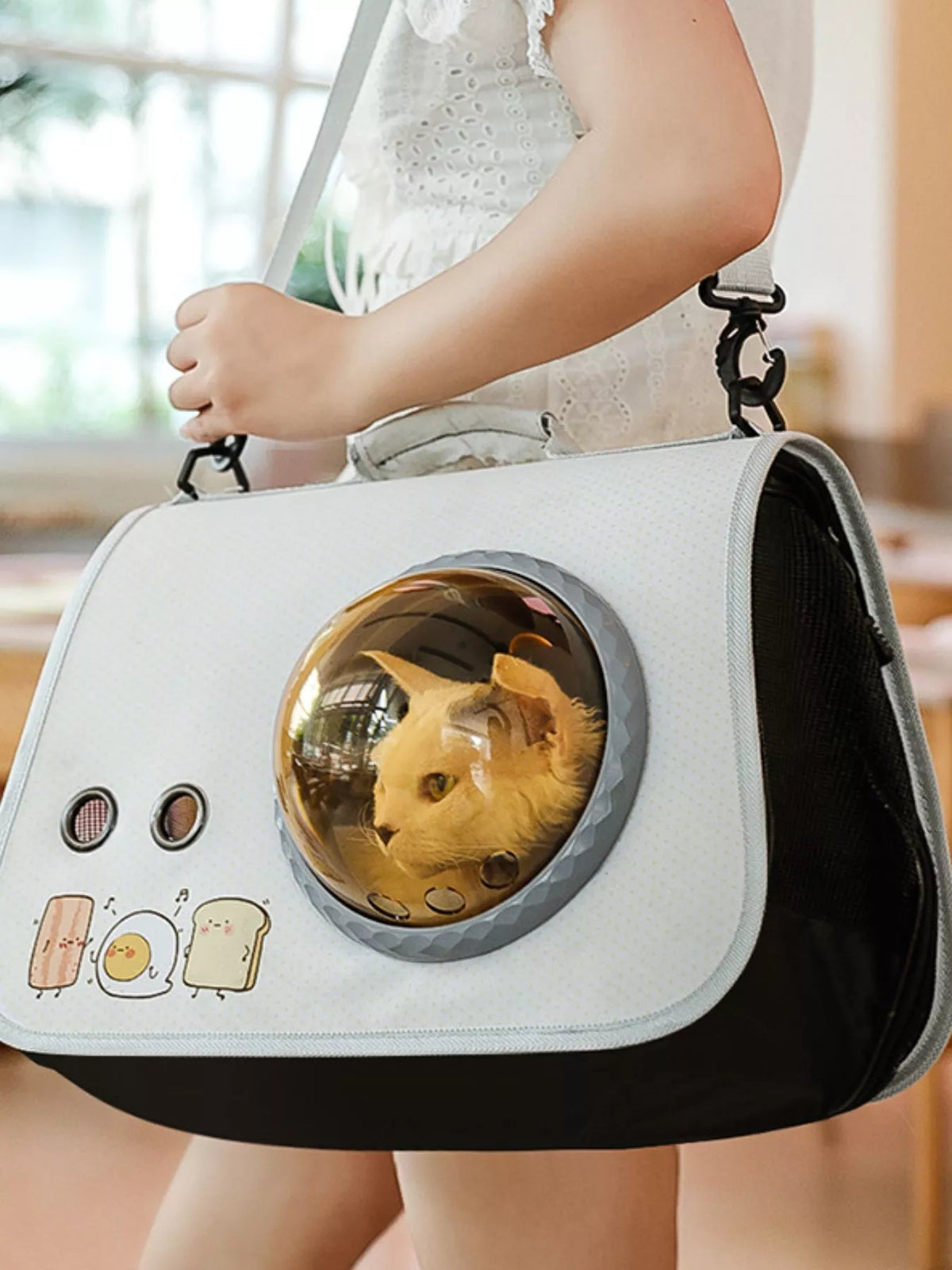 Portable Bubble Window Pet Carrier Bag - Lilixa.store