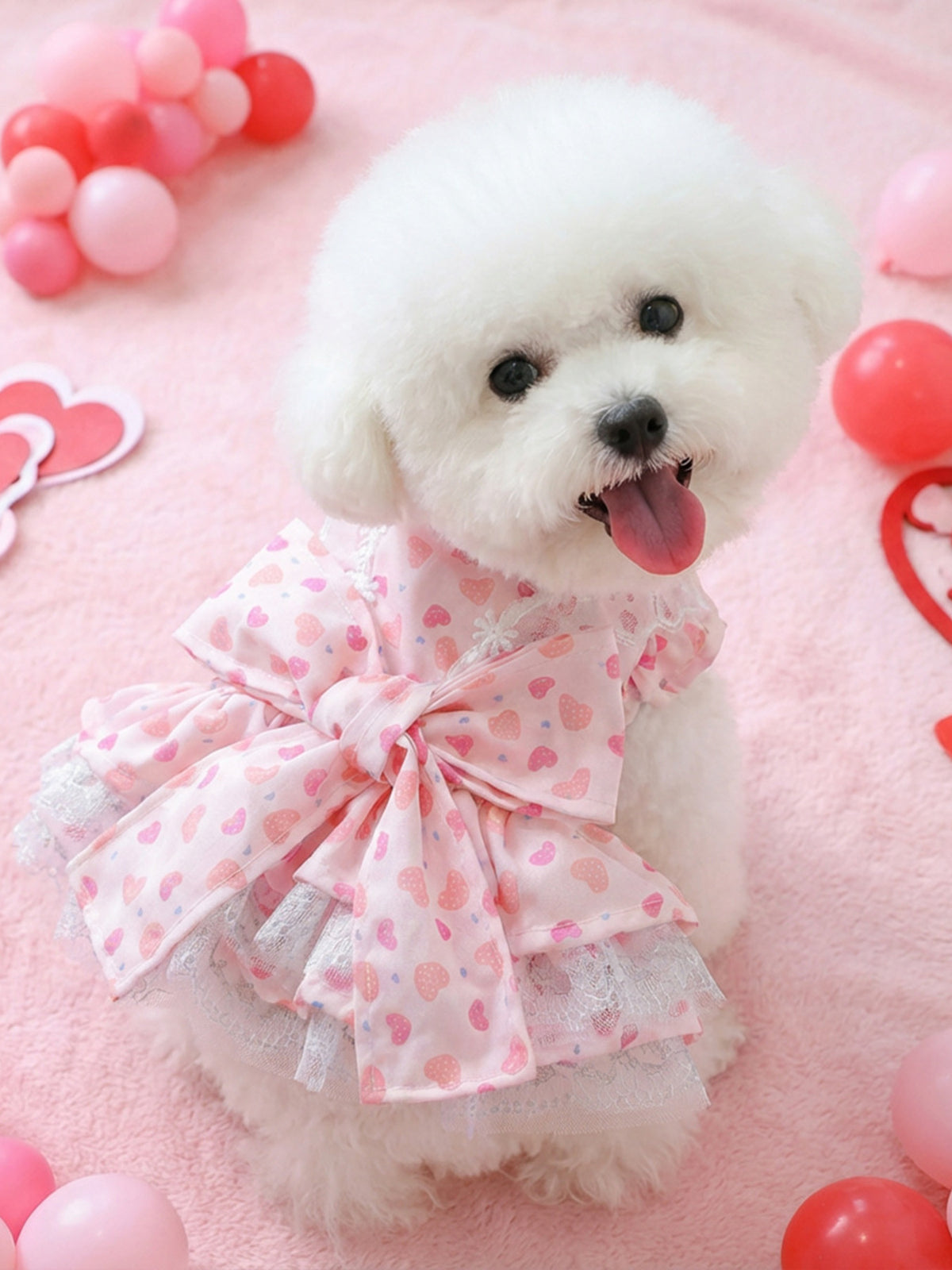 Bow Printed Pet Dress - Lilixa.store