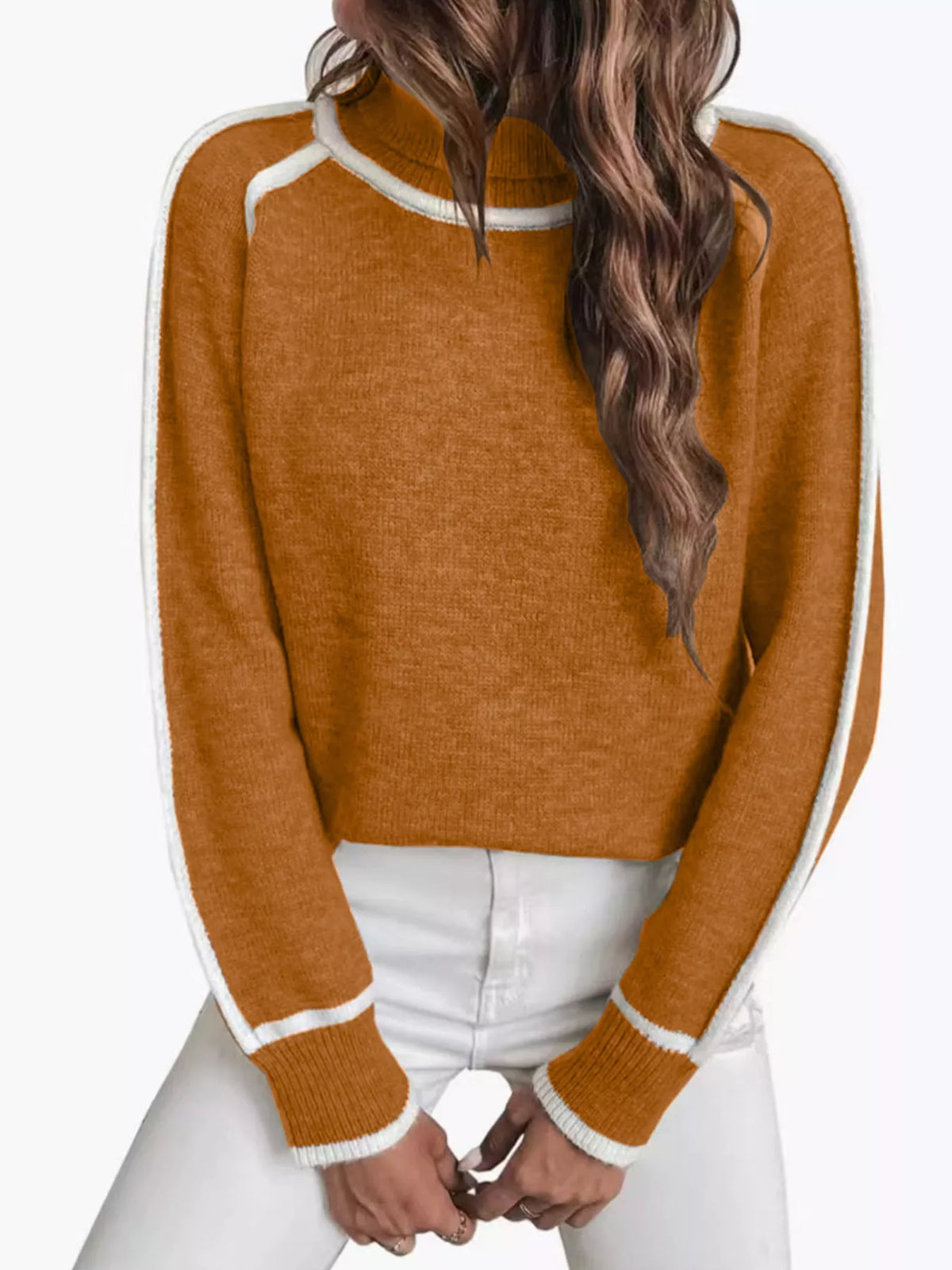 Full Size Contrast Trim Ribbed Hem Turtleneck Sweater Plus Size