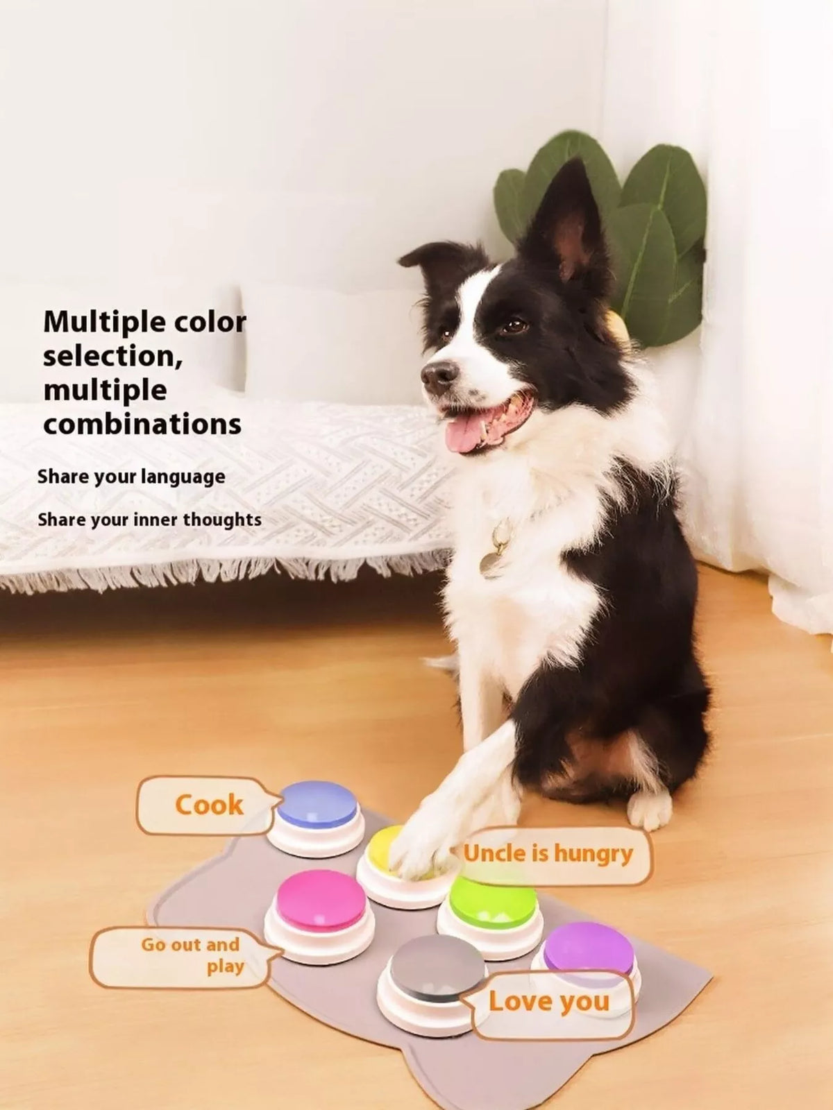 Recordable Talking Pet Sound Buttons - Lilixa.store