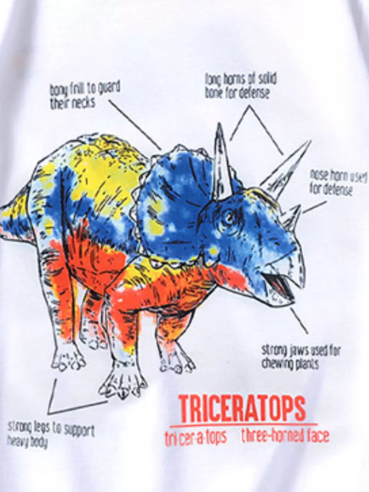 Children's Dinosaur Triceratops Graphic T-Shirt - Lilixa.store