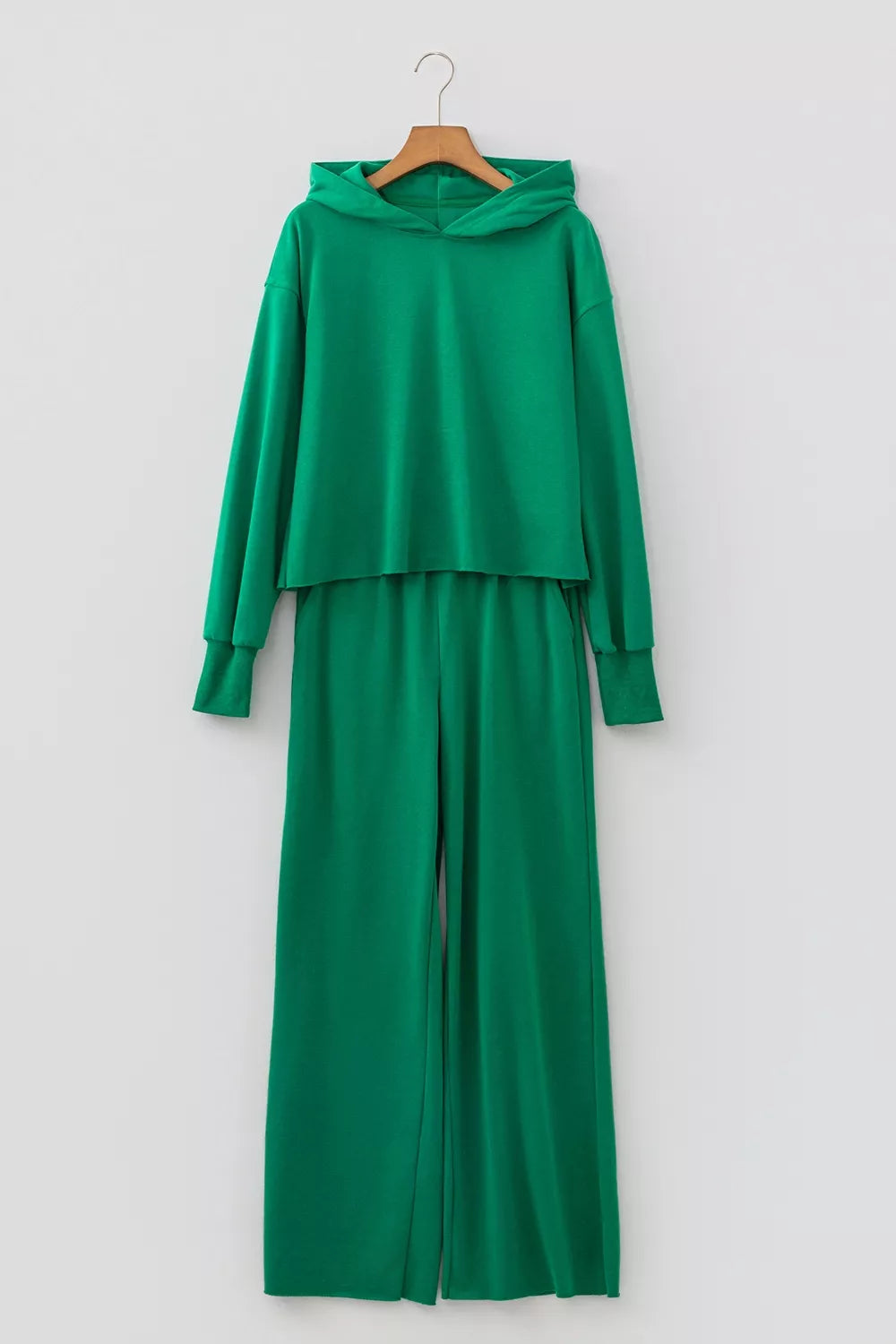 Solid Color Hooded Long Sleeve Elastic Waist Pocket Pants Set in Dark Green, view 4