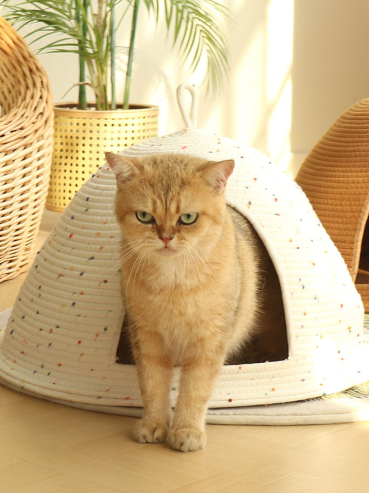 Cozy Rope Woven Cat Cave Bed with Handle - Lilixa.store