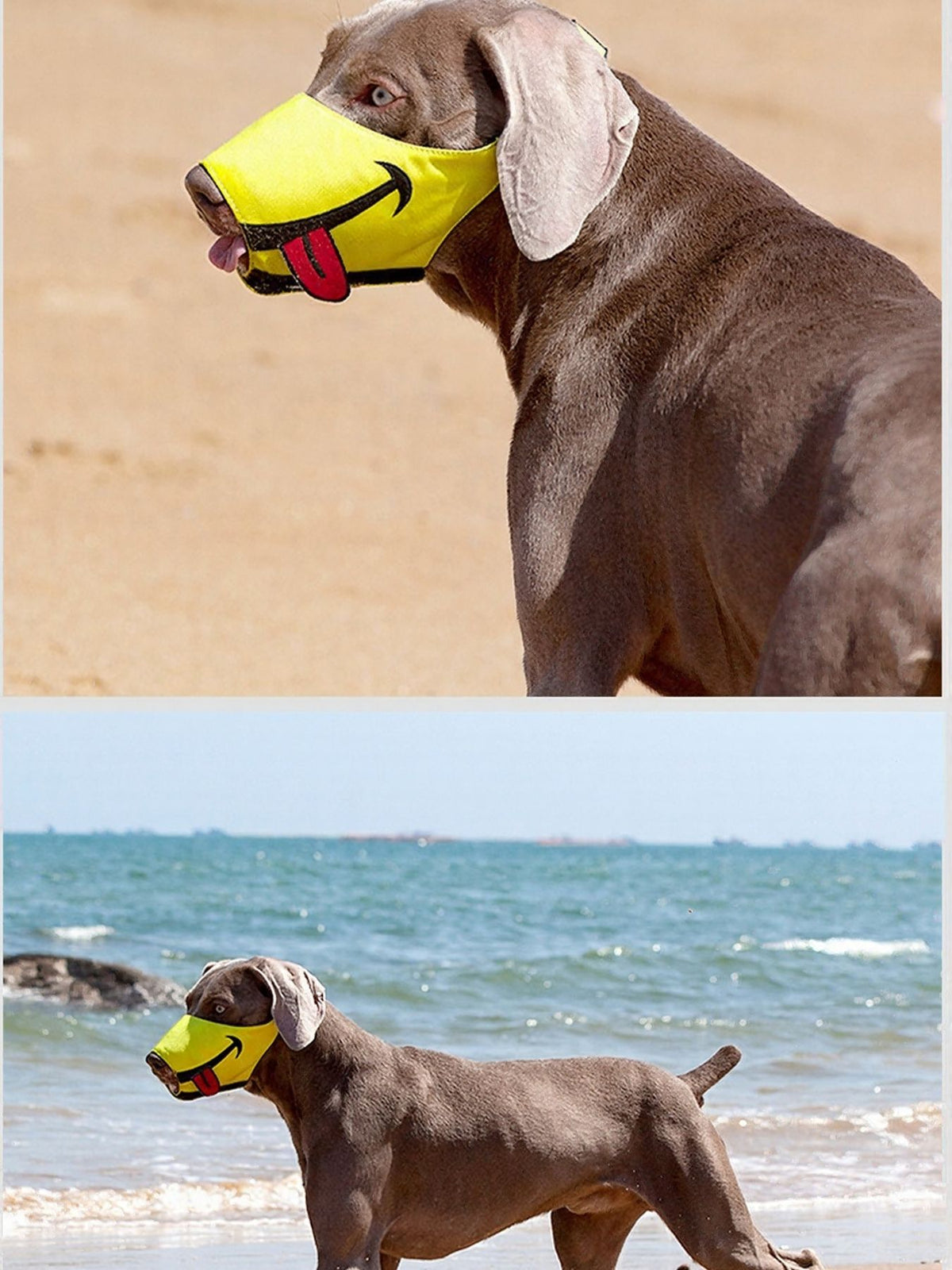 Funny Face Anti-Bite Pet Muzzle - Lilixa.store