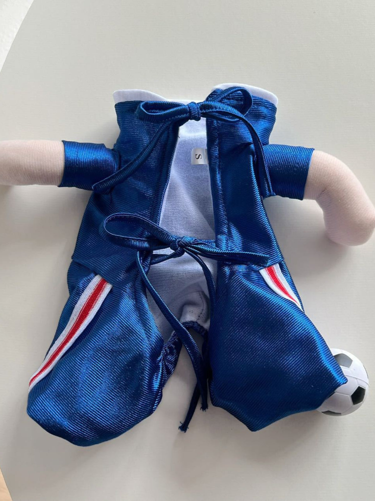 Number Pet Jumpsuit - Lilixa.store