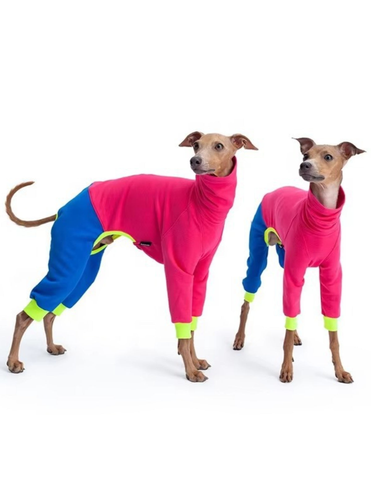 Full Size Color Block Turtleneck Pet Jumpsuits Plus Size - Lilixa.store