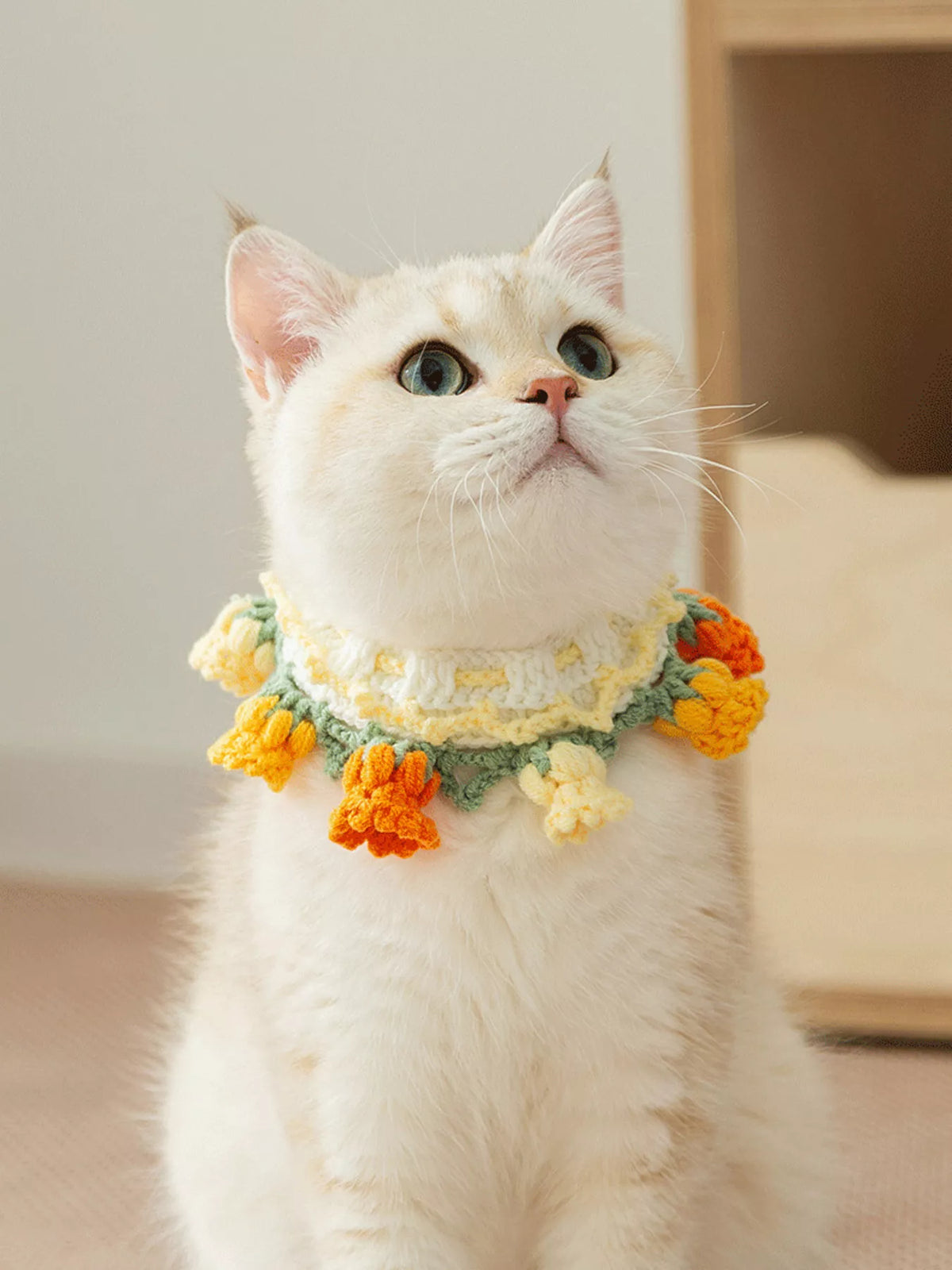 Knitted Floral Pet Collar - Lilixa.store