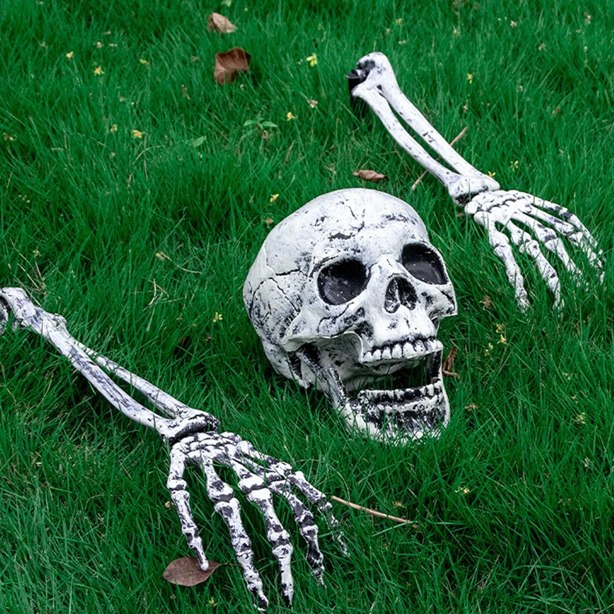 Halloween Skull and Skeleton Arms - Lilixa.store