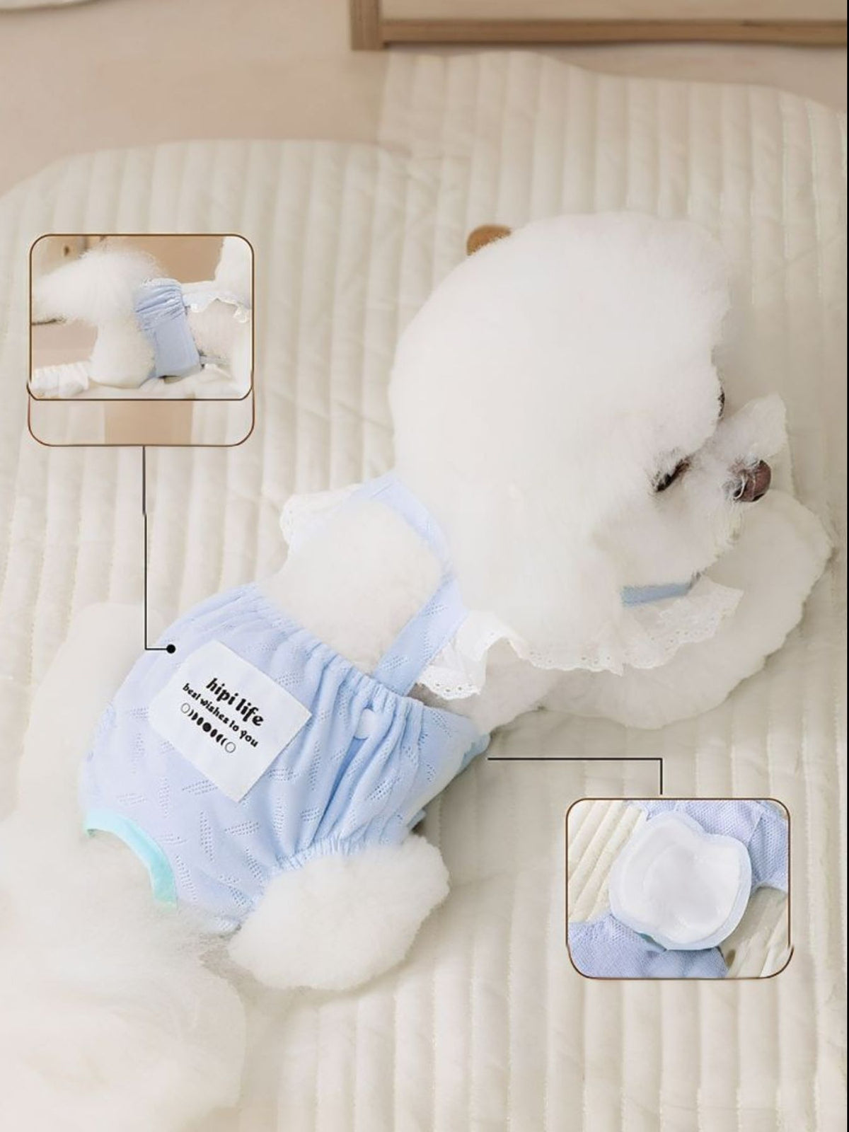 Pet Menstrual Clothes - Lilixa.store