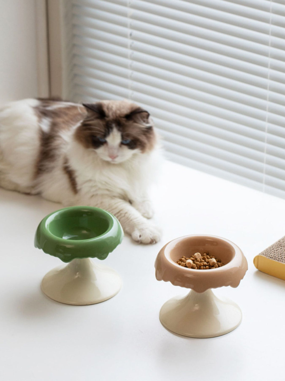 Elevated Ceramic Pet Bowl - Lilixa.store