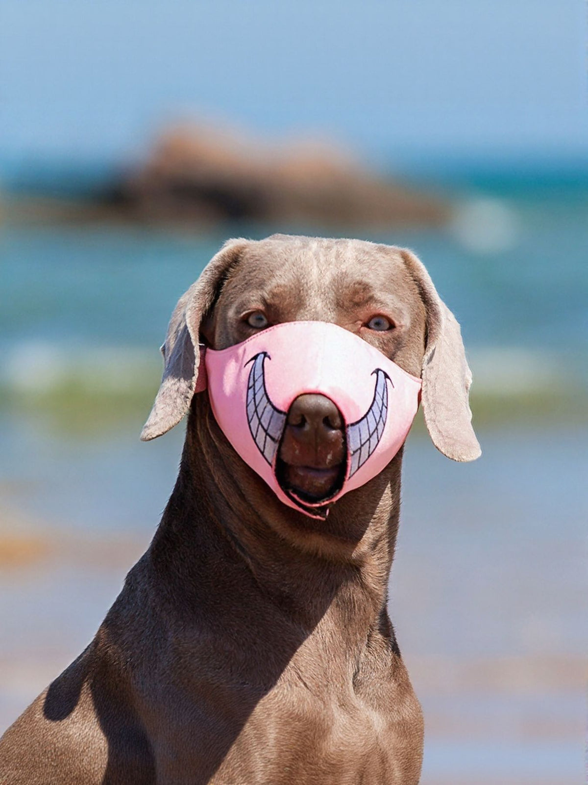 Funny Face Anti-Bite Pet Muzzle - Lilixa.store