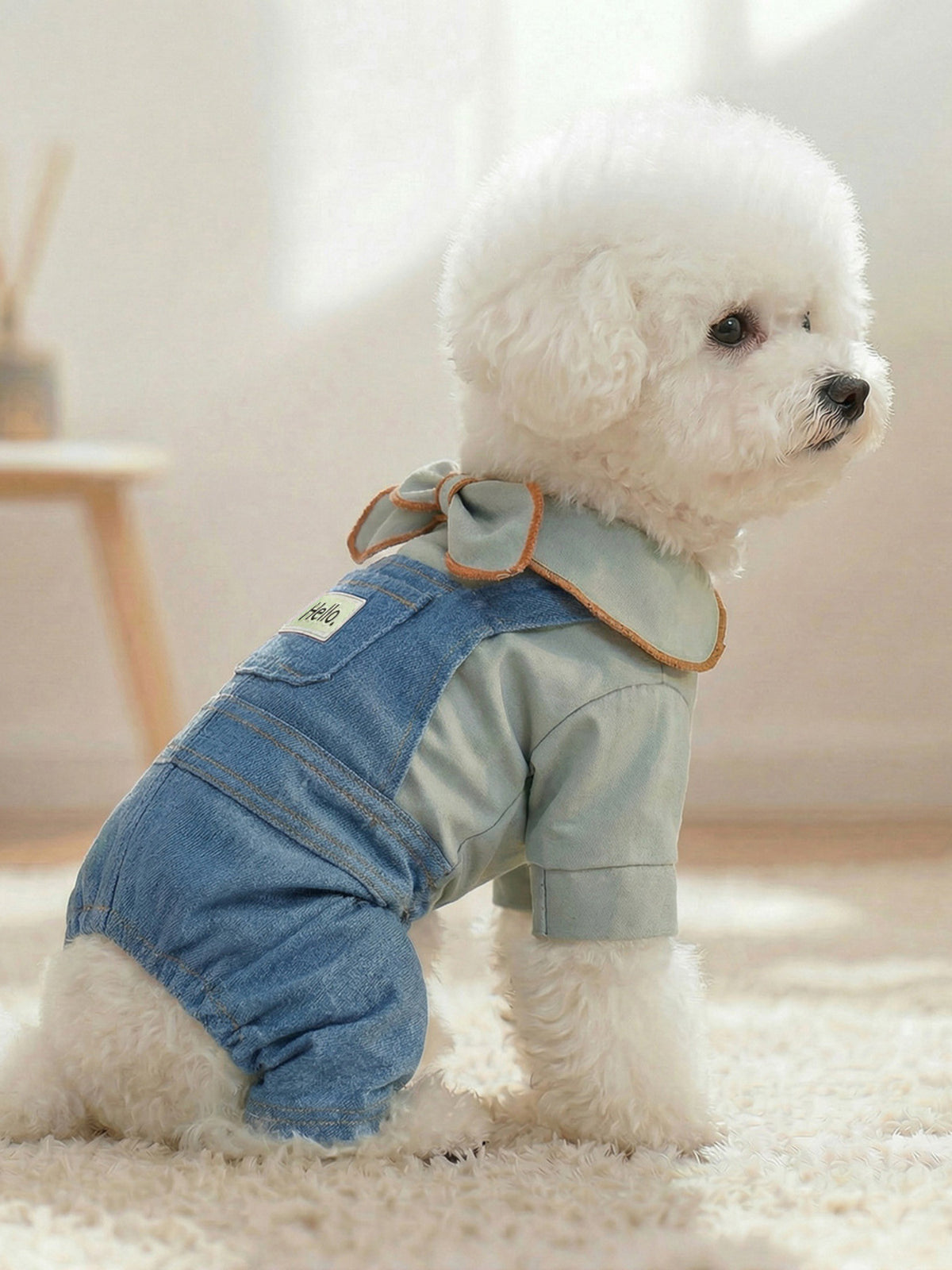 Denim Pet Jumpsuits with Bowknot - Lilixa.store