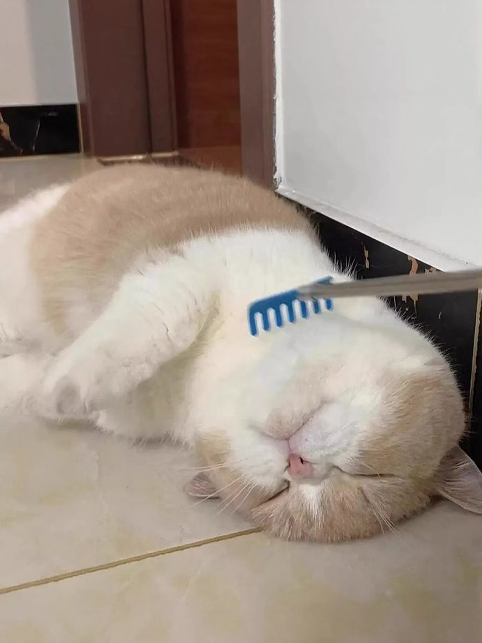 Pet Grooming Comb - Lilixa.store