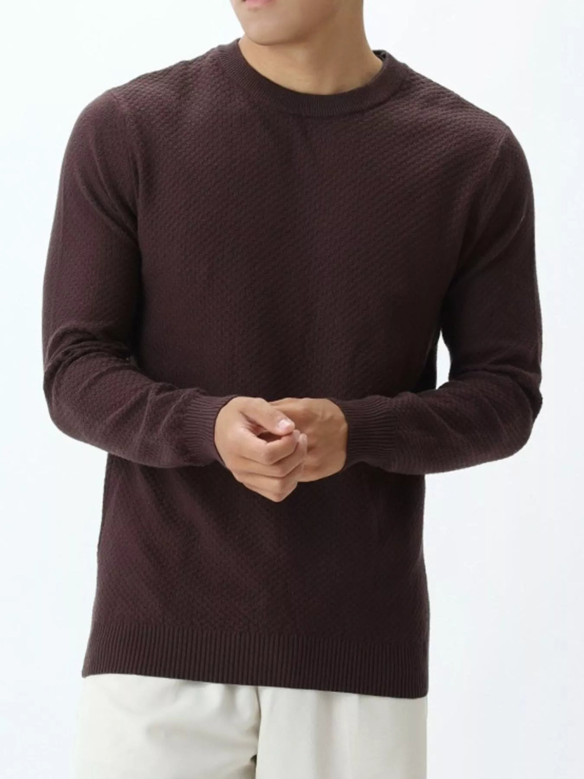 Men's Plus Size Textured Crew Neck Sweater
