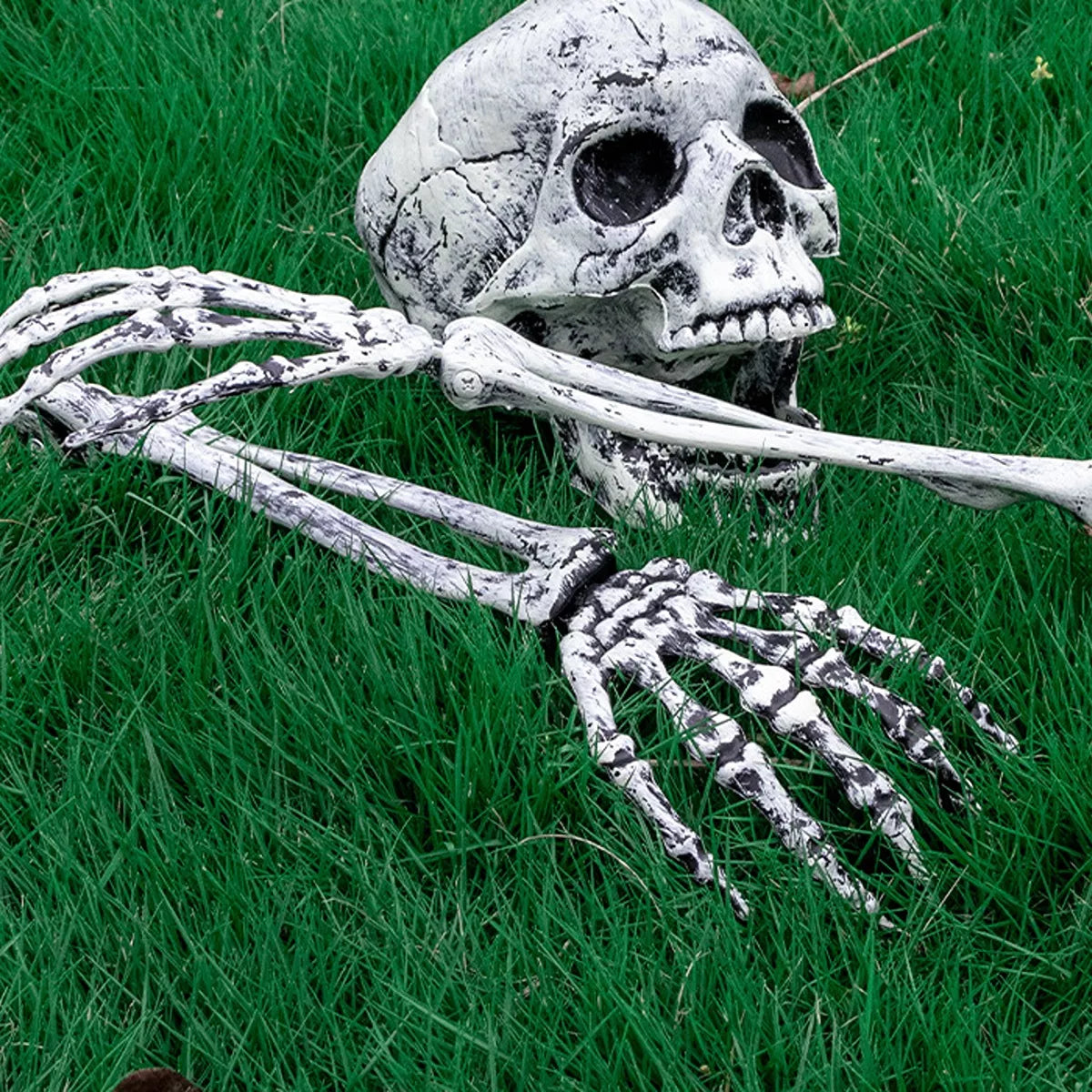Halloween Skull and Skeleton Arms - Lilixa.store